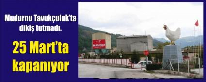 MUDURNU TAVUK�ULUK YEN�DEN KAPANIYOR