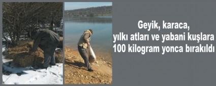 Bolu'da yaban hayvanlar� i�in yem b�rak�ld�