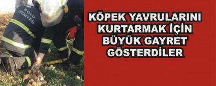 9 K�PEK YAVRUSU ALEVLER�N ARASINDAN B�YLE KURTARILDI