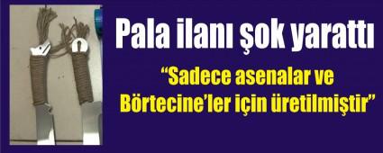 �nternette �ok yaratan PALA ilan�!