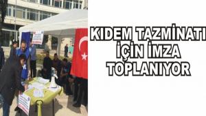 T�RK-�� �MZA TOPLUYOR