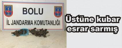 Otob�ste kubar esrar