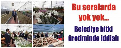 BELED�YE B�TK� �RET�M�NDE DE �DD�ALI