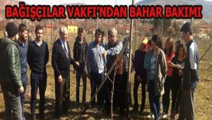 ELMA  BAH�ES�NDE BAHAR BAKIMI