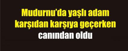 76 ya��ndaki adam kaza kurban�