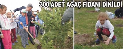 F�DANLAR TOPRAKLA BULU�TU