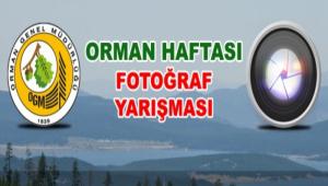 BOFSAD'TAN FOTO�RAF YARI�MASI