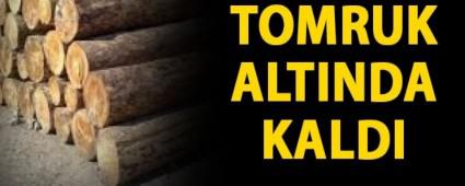 TOMRUKLARIN ALTINDA KALAN ���� YARALANDI
