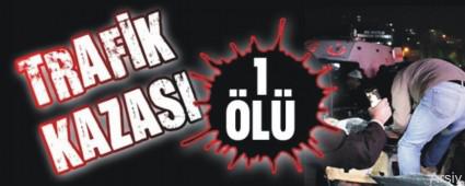 Gerede'de trafik kazas�: 1 �l�