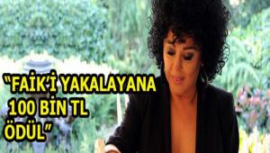 YEN� ALB�M YEN� �MAJ