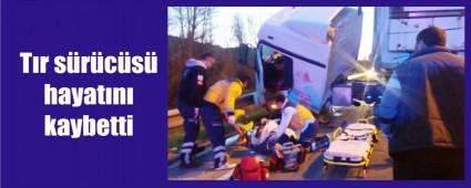 T�r ile kamyon �arp��t�