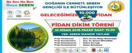 K�le d�nen ormana 10 bin fidan dikilecek
