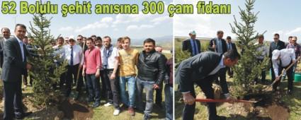 52 Bolulu �ehit an�s�na 300 �am fidan�