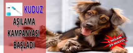 Bolu'da kuduz kampanyas� ba�lad�