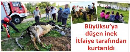 Dereye yuvarlanan ine�i �tfaiye kurtard�