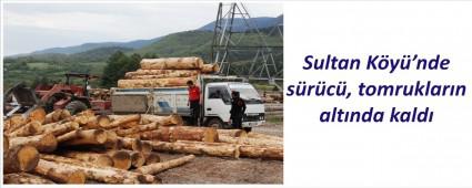 Tomruklar�n alt�nda kald�