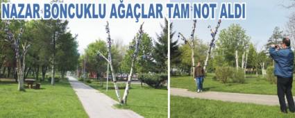 NAZAR BONCUKLU A�A�LAR HALKIN BE�EN�S�N� KAZANDI