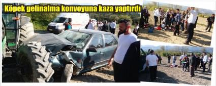 D���n konvoyunda k�pek kazas�