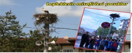 LEYLEK YUVALARINI Z�YARET ETT�LER