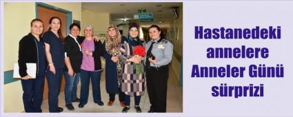 Sa�l�k �al��anlar�ndan annelere karanfil