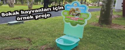 Sokak hayvanlar� i�in �rnek proje