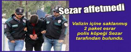Sezar valizdeki esrar� yakalad�