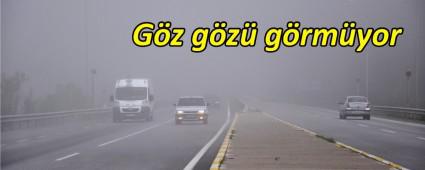 Bolu Da��'nda g�z g�z� g�rmedi