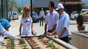 Park ve Bah�elerde inceleme