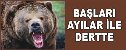  BA�LARI AYILAR �LE DERTTE