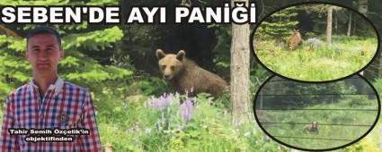 YAVRU AYI YOLA �ND�