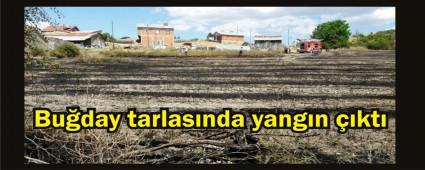 20 d�n�m bu�day tarlas� yand�