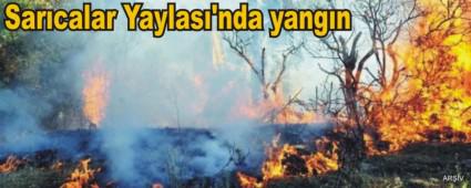 Sar�calar Yaylas�'nda yang�n