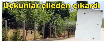 Bolu'da u�kunlar vatanda�� b�kt�rd�