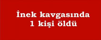 �nek kavgas� y�z�nden 1 ki�i �ld�