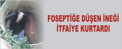 Fosepti�e d��en ine�i itfaiye kurtard�