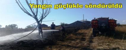 An�z yang�n�n� k�yl�ler s�nd�rd�