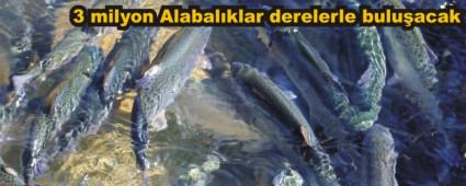Alabal�klar derelerle bulu�acak