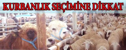 KURBANLIKLARIN DENET�M� ARTIRILDI