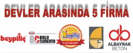 DEVLER ARASINDA 5 F�RMA