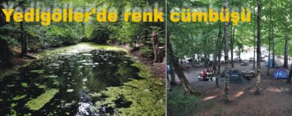 Yedig�ller'de renk c�mb���