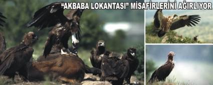 �Akbaba Lokantas�� misafirlerini a��rl�yor