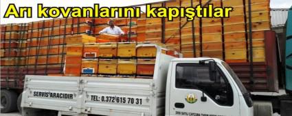 Mudurnu'da ar� kovan� da��t�ld�