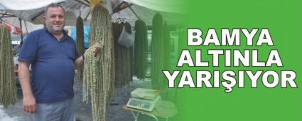 25 �L�N ESNAFI GEREDE PANAYIRI'NDA