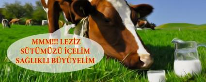 �i� s�t �retiminde deste�e devam