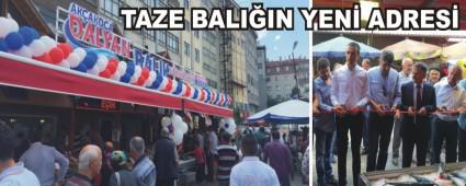TAZE BALI�IN YEN� ADRES�