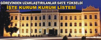 G�REV�NDEN UZAKLA�TIRILANLAR 645'E Y�KSELD�