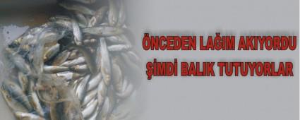 �NCEDEN LA�IM AKIYORDU ��MD� BALIK TUTUYORLAR