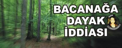 BACANA�A DAYAK �DD�ASI