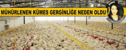 M�H�RLENEN K�MES GERG�NL��E NEDEN OLDU
