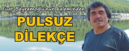 PULSUZ D�LEK�E